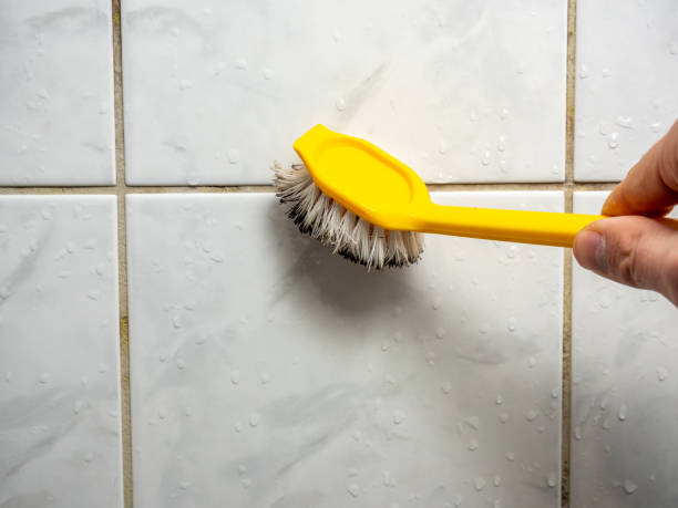 Best Commercial Mold Removal  in White Hall, WV