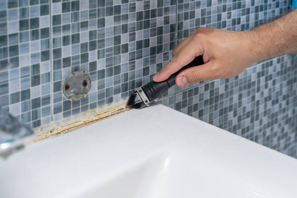 Best Mold Removal Near Me  in White Hall, WV