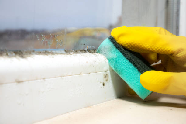 Water Damage Restoration in White Hall, WV
