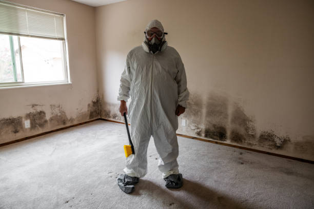 Water Damage Restoration in White Hall, WV